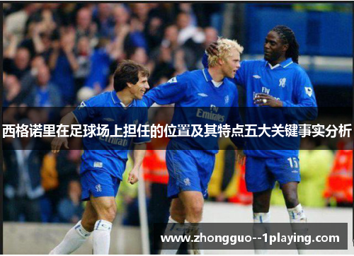 西格诺里在足球场上担任的位置及其特点五大关键事实分析