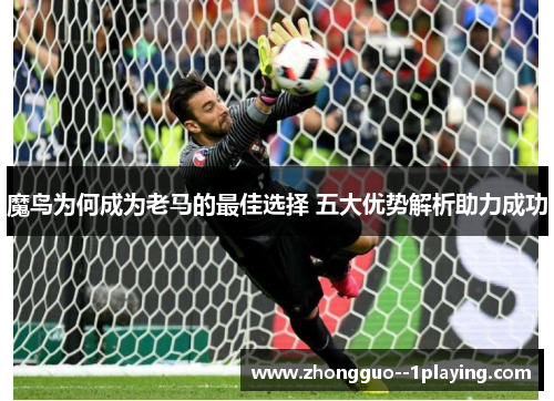 魔鸟为何成为老马的最佳选择 五大优势解析助力成功