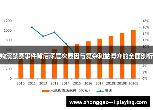 魏震禁赛事件背后深层次原因与复杂利益博弈的全面剖析